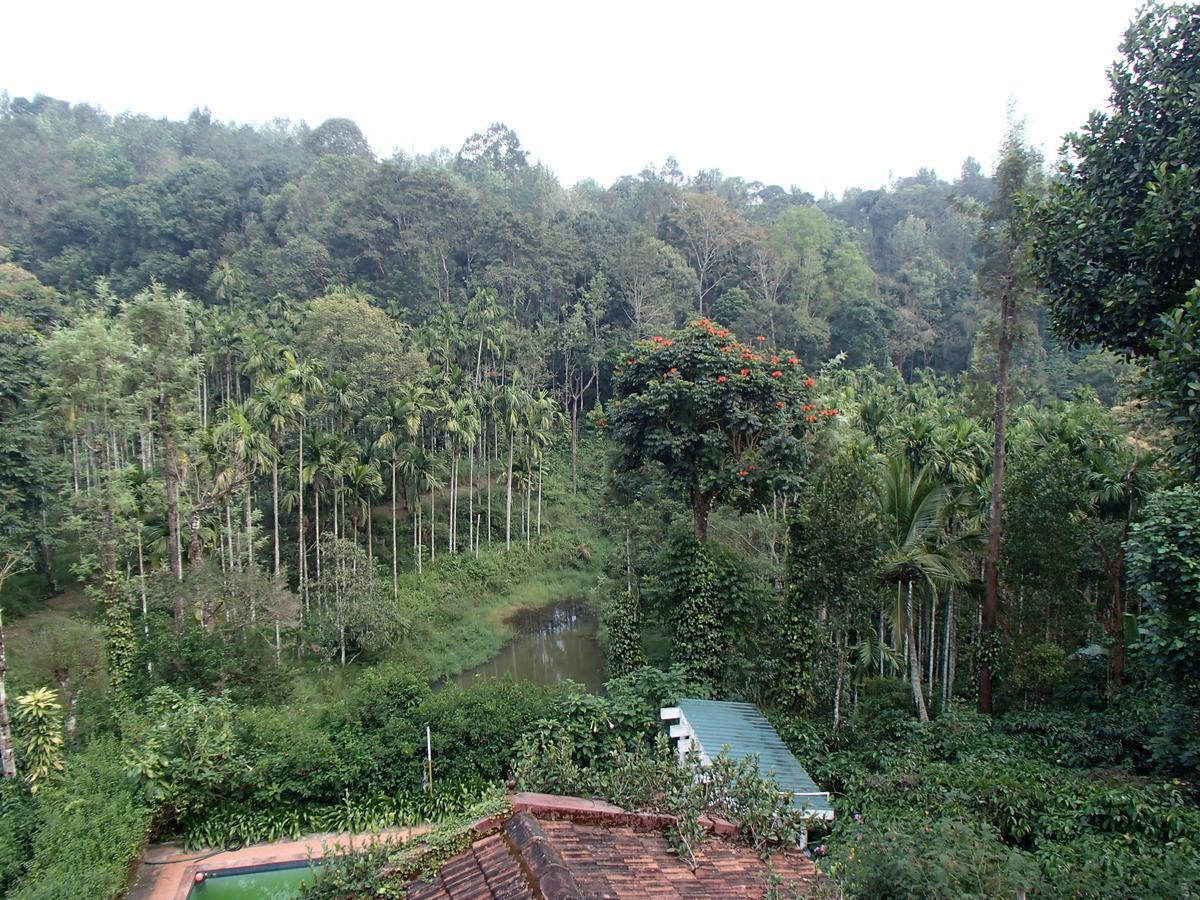 Coorg 4 C'S Little Paradise ماديكيري المظهر الخارجي الصورة