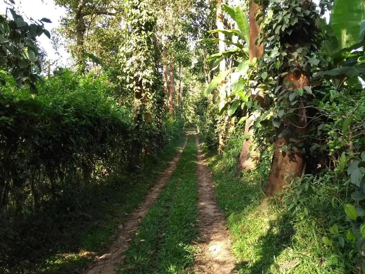 Coorg 4 C'S Little Paradise ماديكيري المظهر الخارجي الصورة