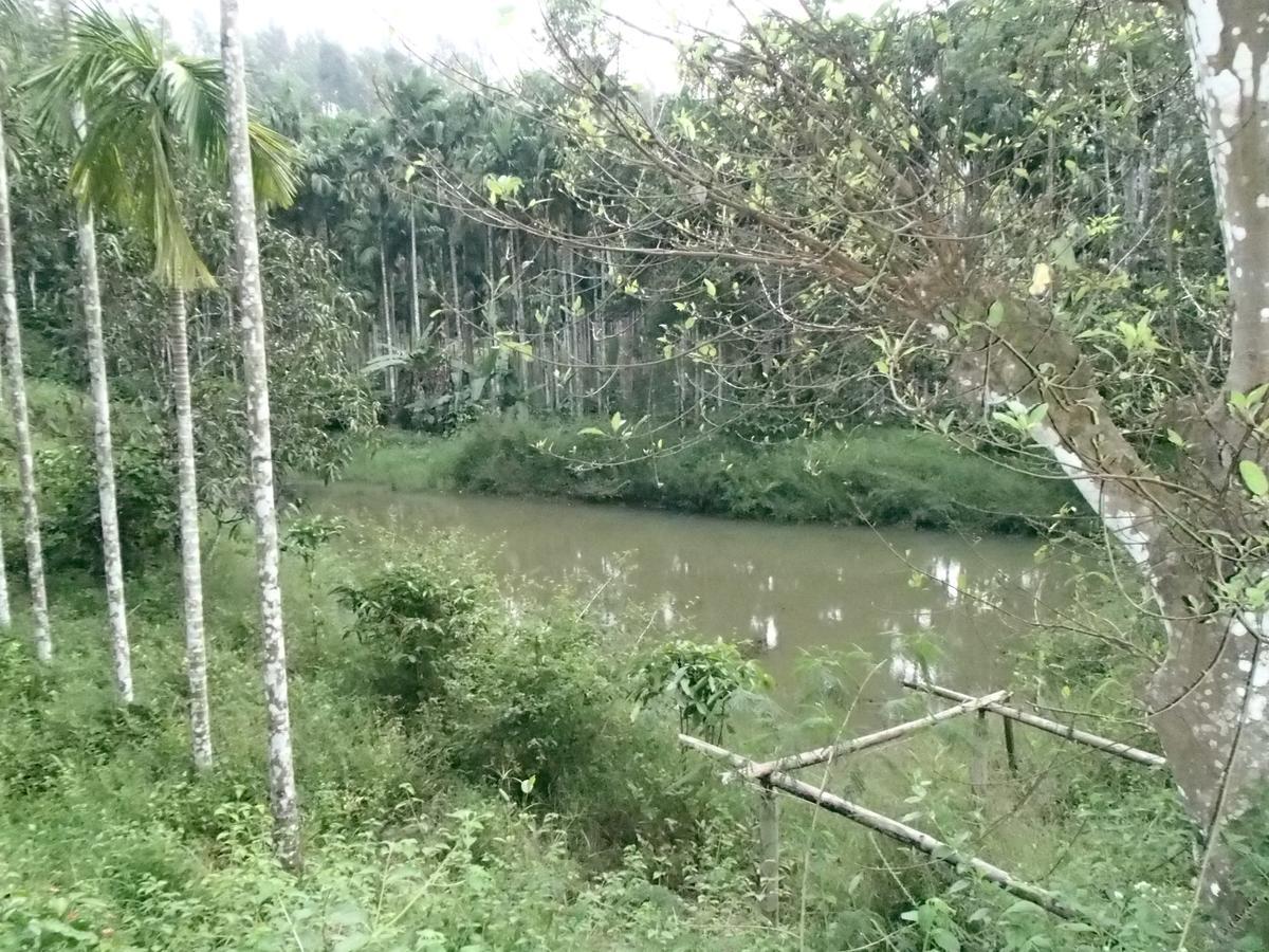 Coorg 4 C'S Little Paradise ماديكيري المظهر الخارجي الصورة